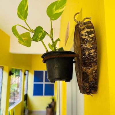 Whatsapp Image 2023 12 11 At 08.29.46